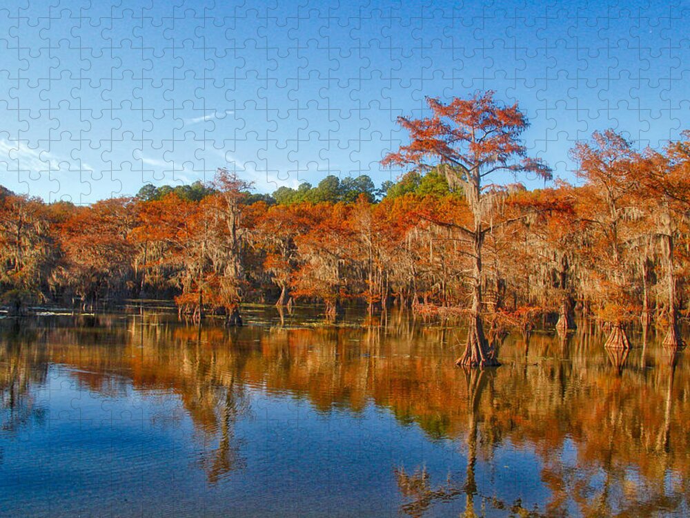 Caddo Lake Jigsaw Puzzle featuring the photograph Caddo in the Fall by Linda James
