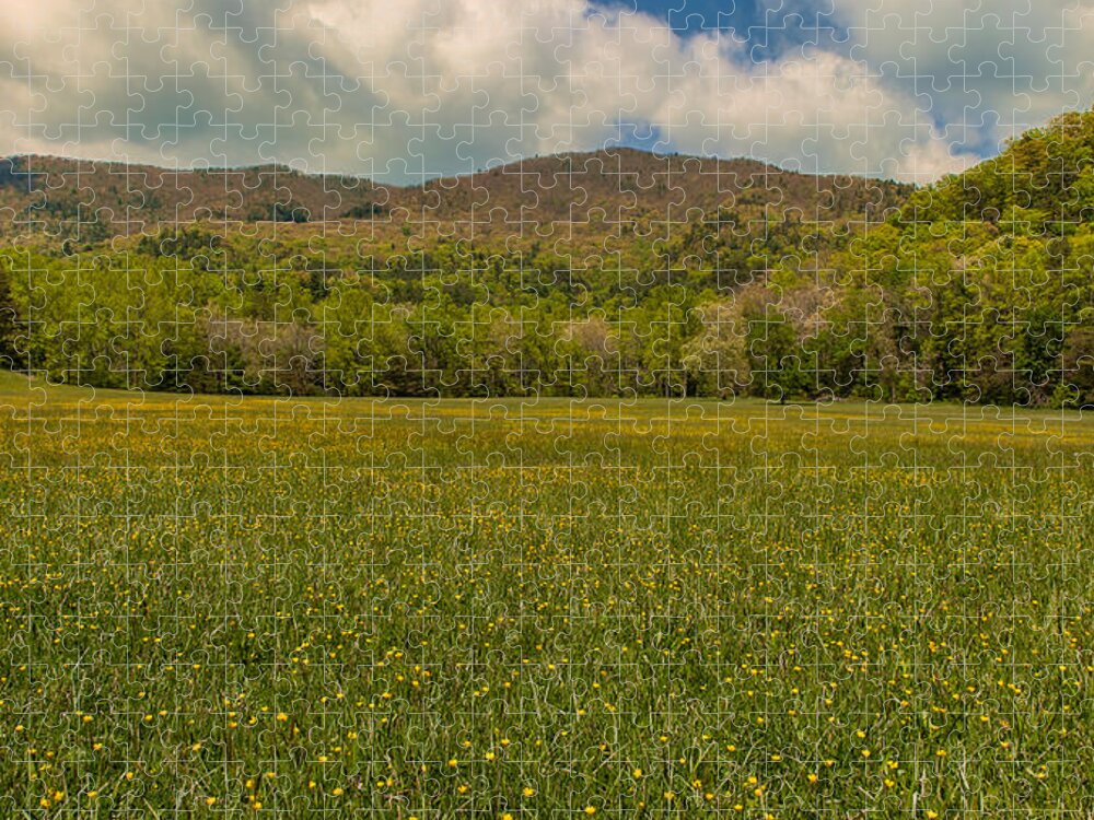 Great Smoky Mountains Jigsaw Puzzle featuring the photograph Cades Cove Buttercup Field by Brenda Jacobs