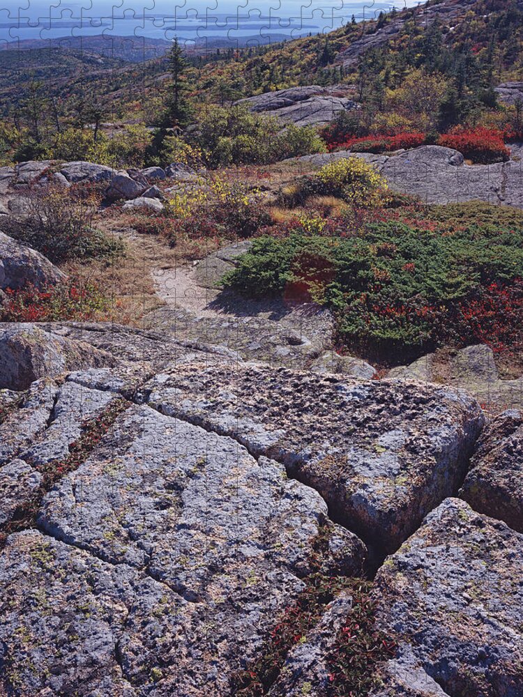 Maine Jigsaw Puzzle featuring the photograph Cadillac Mountain by Tom Daniel