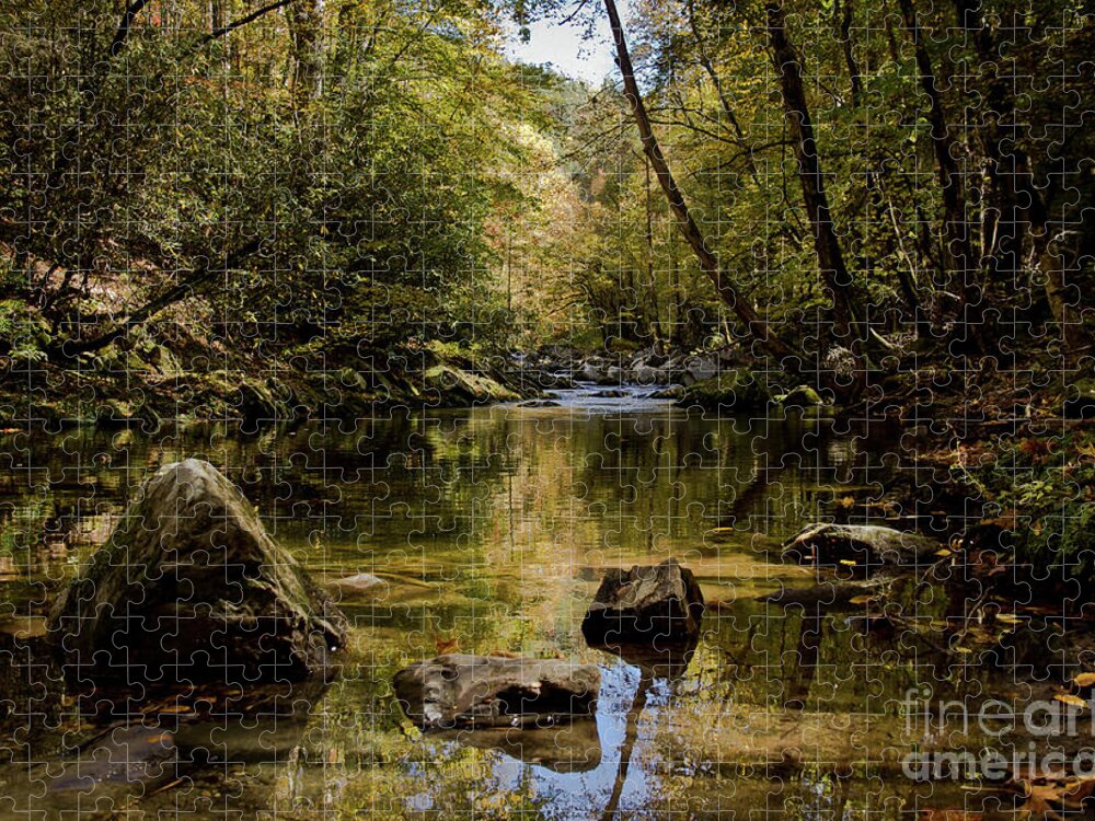 Stream Jigsaw Puzzle featuring the photograph Calmer Water by Douglas Stucky