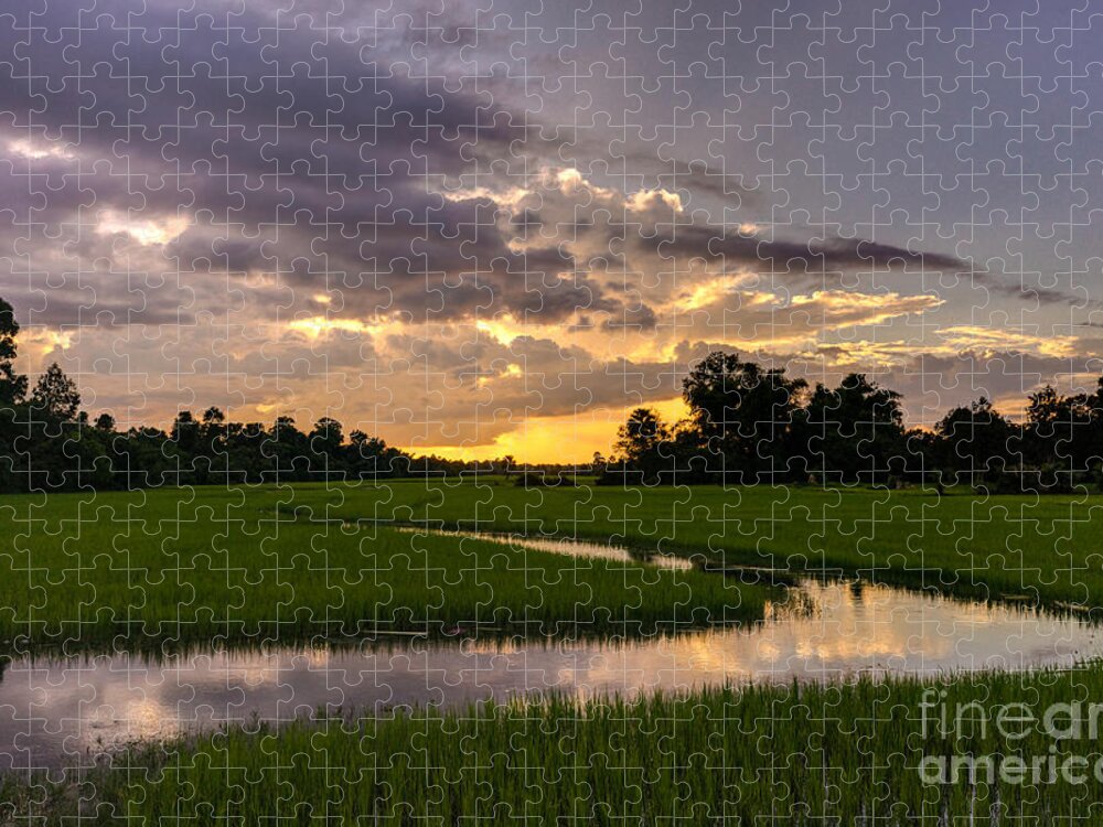 Cambodia Jigsaw Puzzle featuring the photograph Cambodia Rice Fields Sunset by Mike Reid