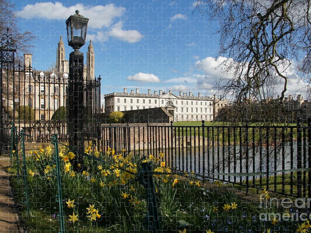 Cambridge Jigsaw Puzzle featuring the photograph Cambridge. End of March. by Elena Perelman