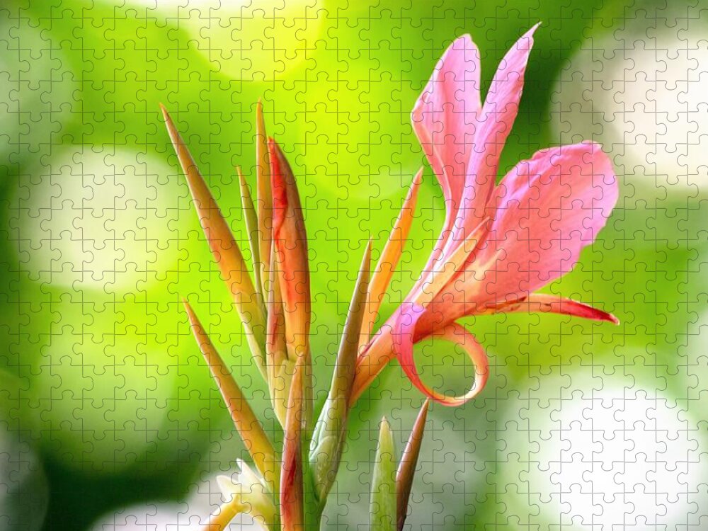 Canna Lily Jigsaw Puzzle featuring the photograph Canna Lily by Mary Ann Artz