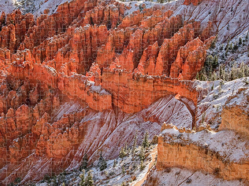 Canyon Jigsaw Puzzle featuring the photograph Canyon Trail by John Roach