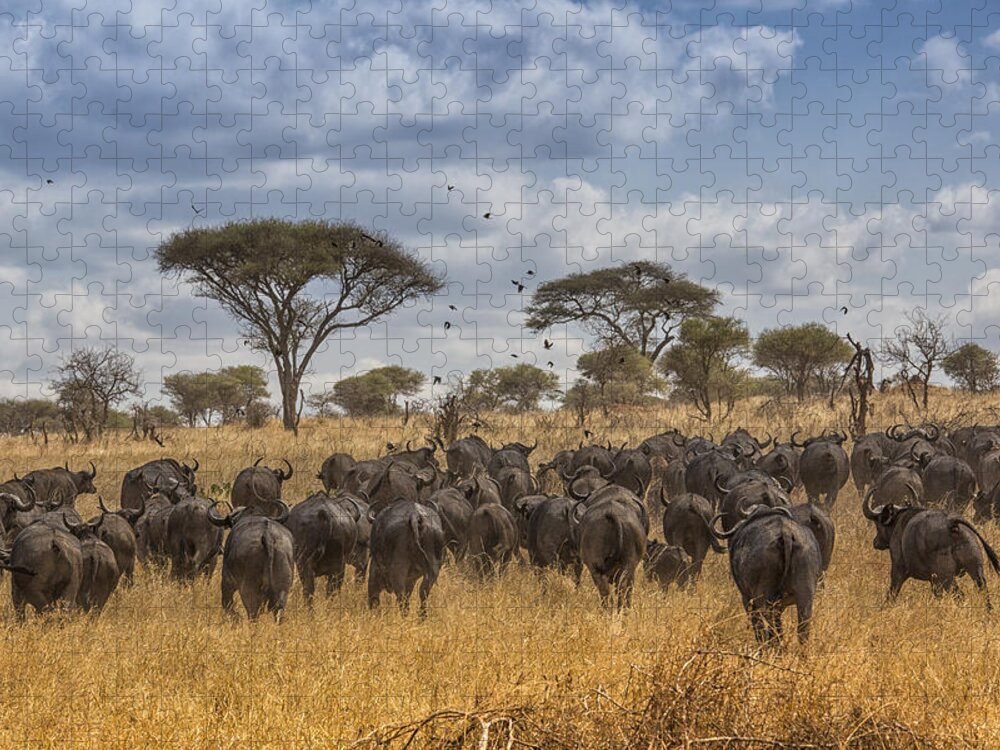 African Buffalo Jigsaw Puzzle featuring the tapestry - textile Cape Buffalo Herd by Kathy Adams Clark