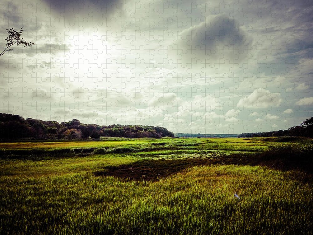 Glorious Jigsaw Puzzle featuring the photograph Cape Cod Marsh 1 by Frank Winters