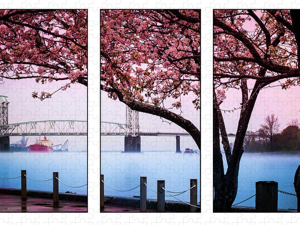 Cape Fear River Bridge Jigsaw Puzzle featuring the photograph Cape Fear River Bridge Triptych by Karen Wiles