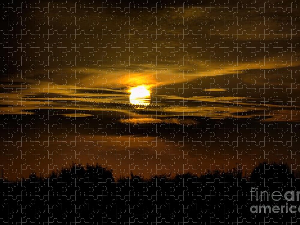 Sunset Jigsaw Puzzle featuring the photograph Captured My Eye by Diana Mary Sharpton
