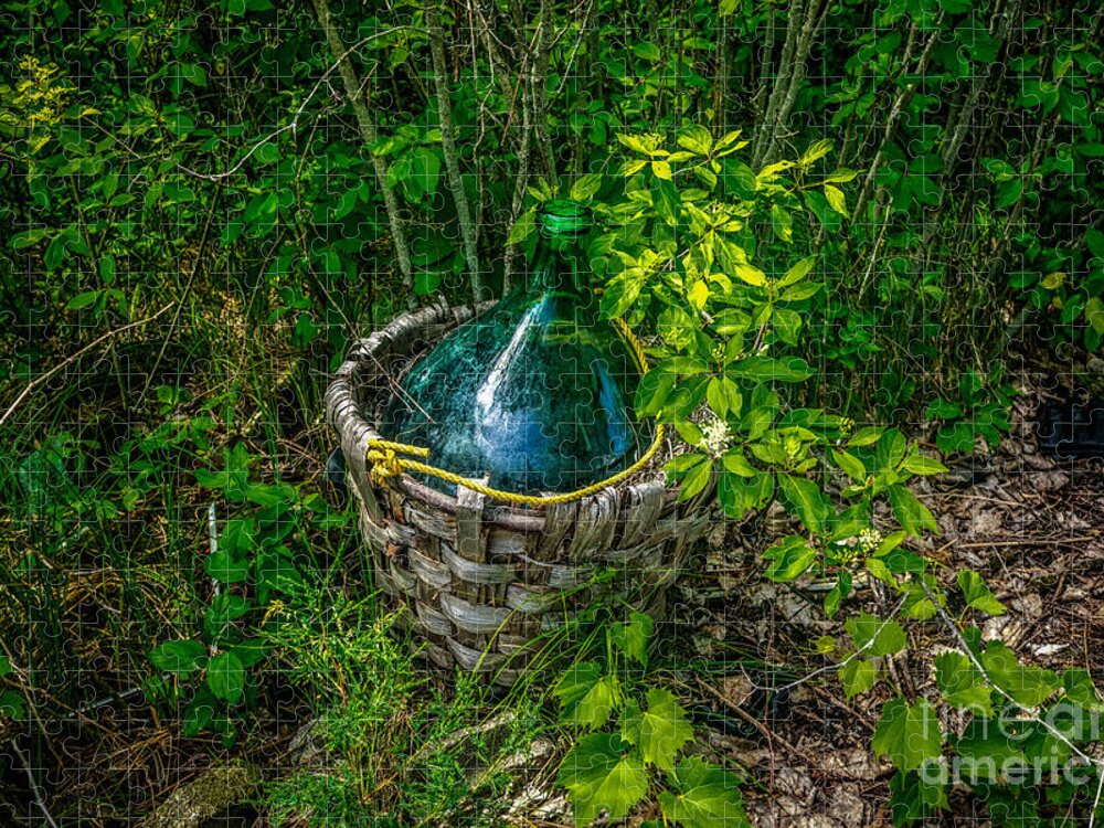 Abandoned Jigsaw Puzzle featuring the photograph Carboy in a Basket by Roger Monahan
