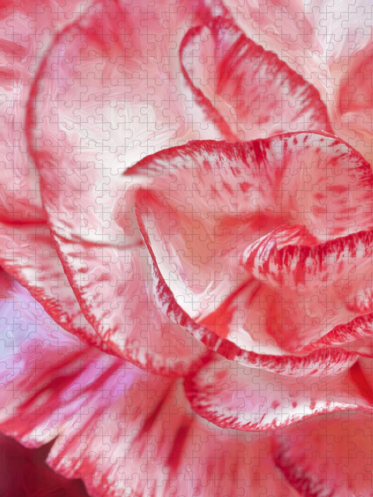 Carnation Jigsaw Puzzle featuring the photograph Carnation #3 by George Robinson