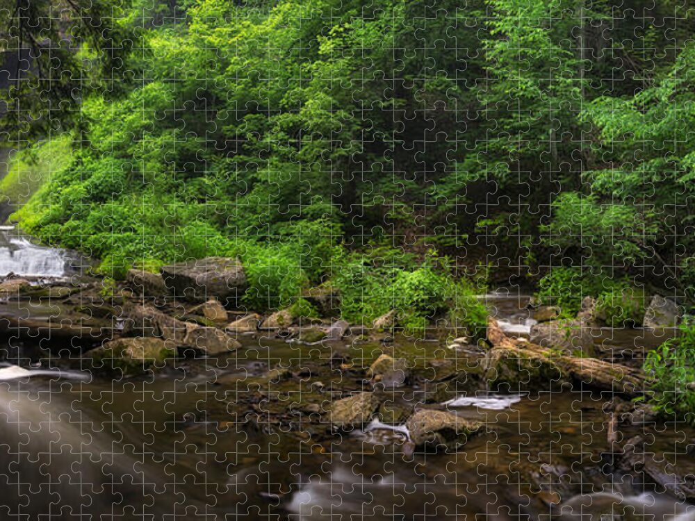Carpenter Falls Jigsaw Puzzle featuring the photograph Carpenter Falls Pano by Mark Papke