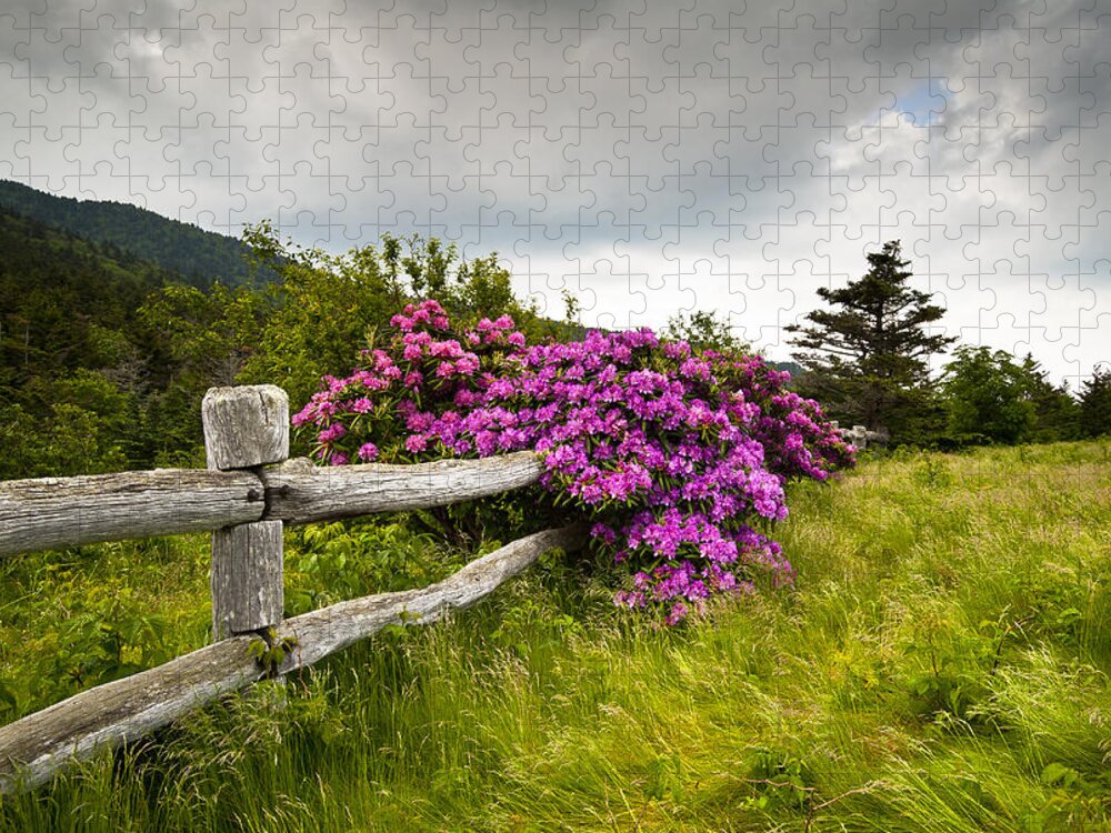 Carvers Gap Jigsaw Puzzle featuring the photograph Carvers Gap Roan Mountain State Park Highlands TN NC by Dave Allen
