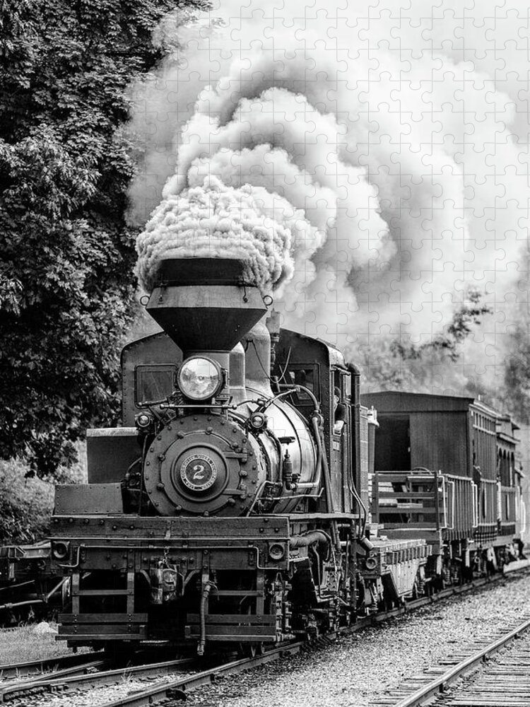 Train Jigsaw Puzzle featuring the photograph Cass Railroad by Deborah Penland