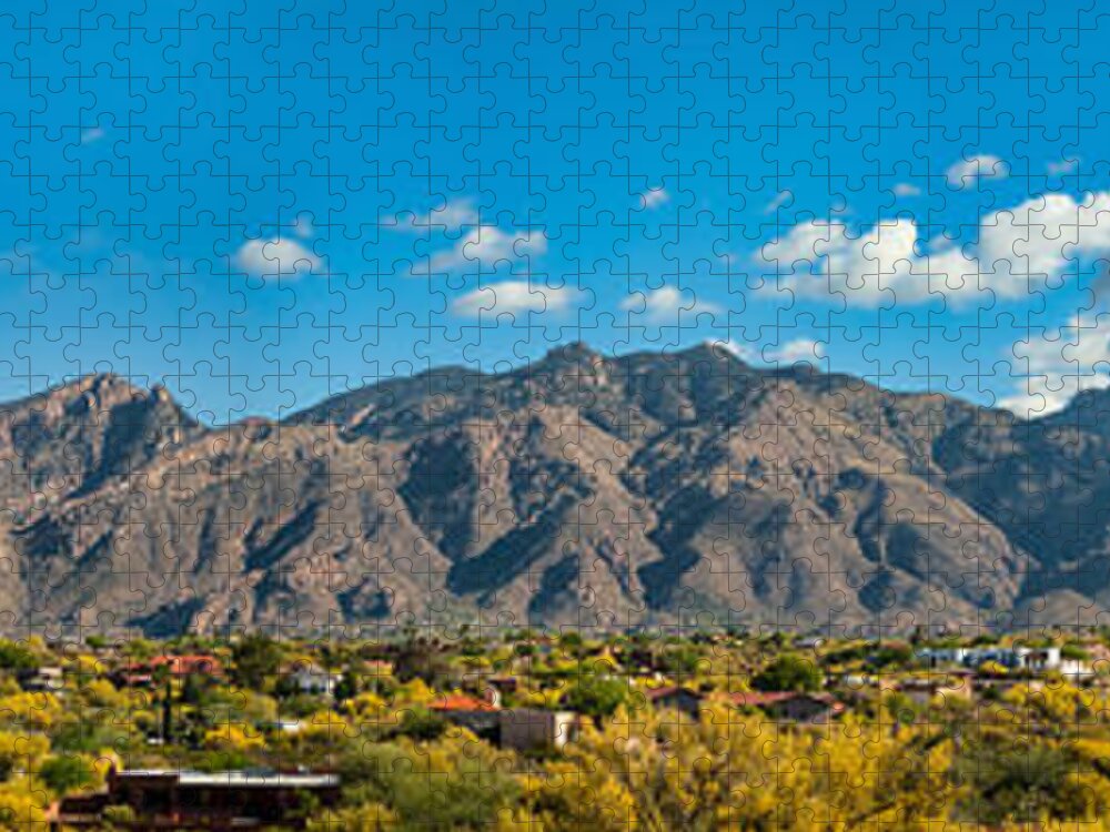 Tucson Jigsaw Puzzle featuring the photograph Catalina Mountain Panorama by Dan McManus