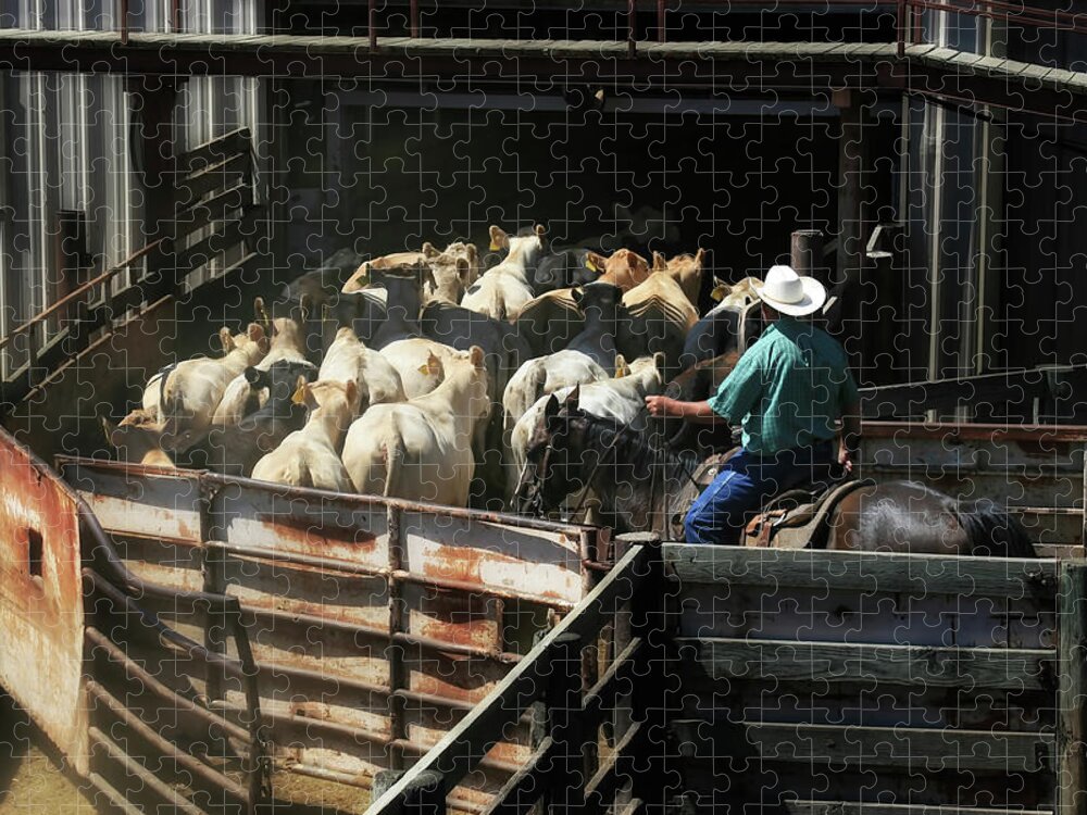 Cattles Auction Jigsaw Puzzle featuring the photograph Cattles Auction by Micah Offman