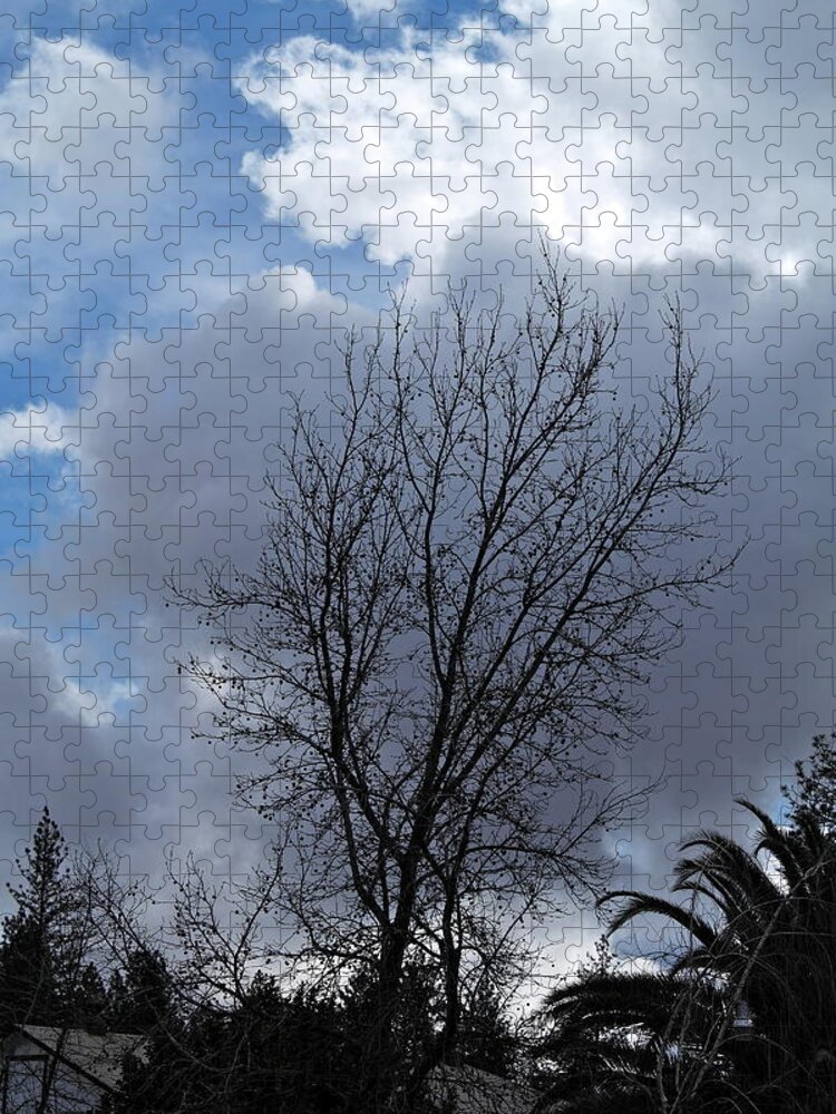 Landscape Jigsaw Puzzle featuring the photograph Caught Between the Storms by Michele Myers