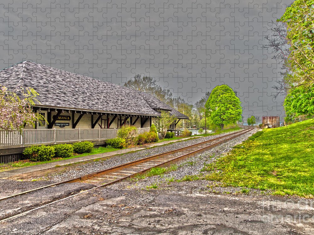 Cayuga Jigsaw Puzzle featuring the photograph Cayuga Station by William Norton
