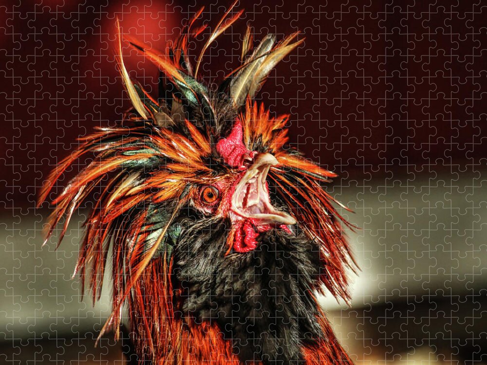 Rooster Jigsaw Puzzle featuring the photograph Something to Crow About by Lynn Sprowl