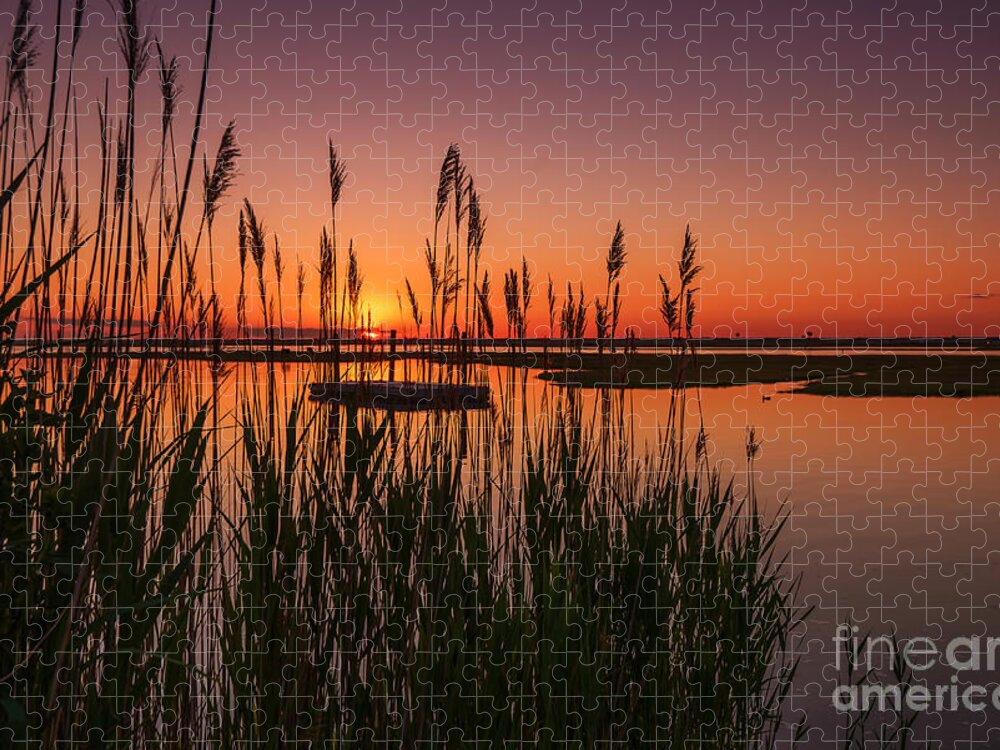 Docks Jigsaw Puzzle featuring the photograph Cedar Beach Sunset in the Reeds by Alissa Beth Photography