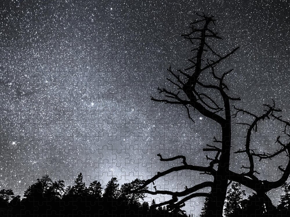 Sky Jigsaw Puzzle featuring the photograph Celestial Stellar Dark Universe by James BO Insogna
