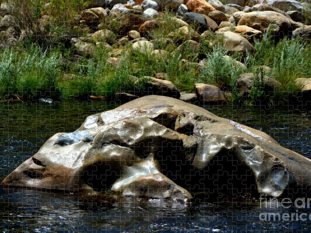 Rock Jigsaw Puzzle featuring the photograph Center Rock by Leah McPhail