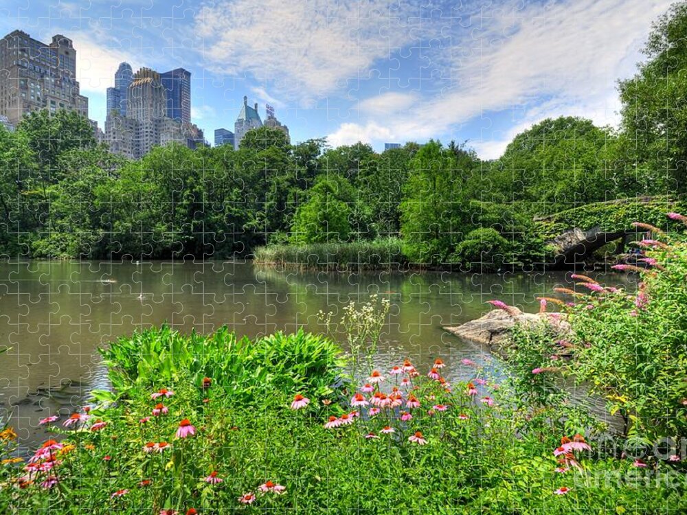 Central Park Jigsaw Puzzle featuring the photograph Central Park by Kelly Wade