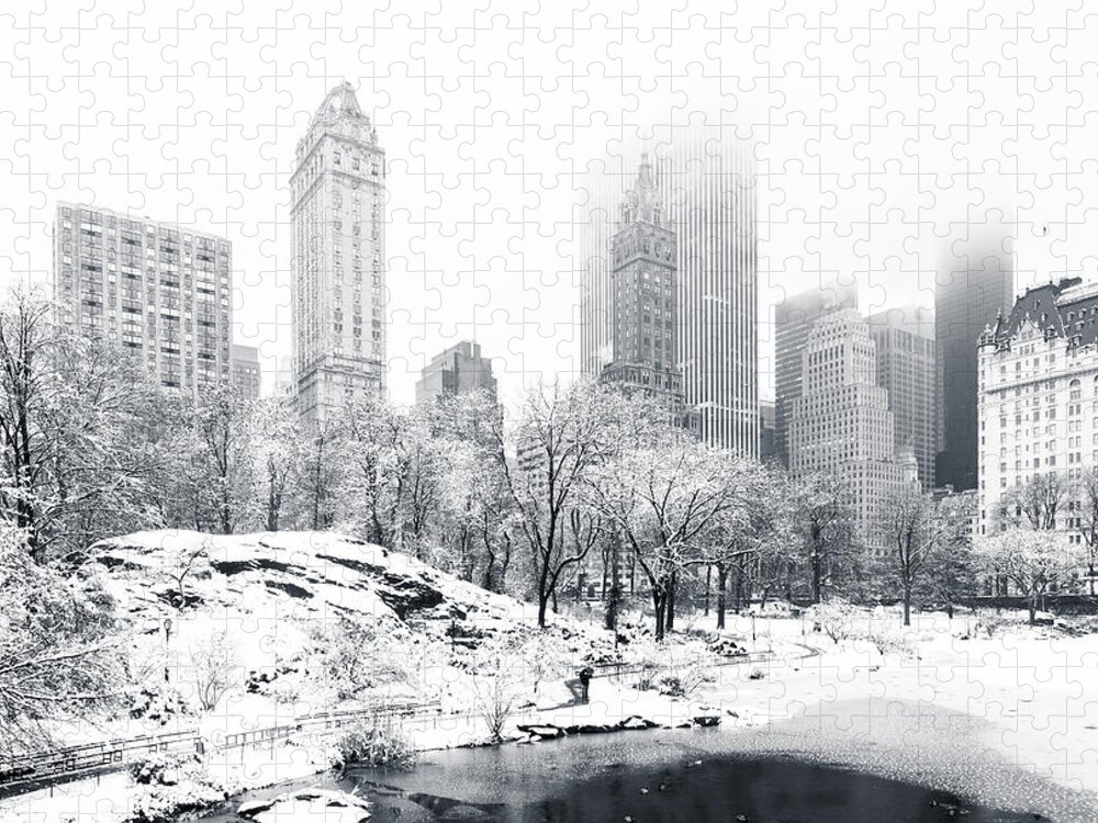 America Jigsaw Puzzle featuring the photograph Central Park by Mihai Andritoiu