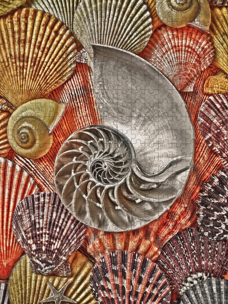 Chambered Nautilus Jigsaw Puzzle featuring the photograph Chambered Nautilus Shell Abstract by Garry Gay