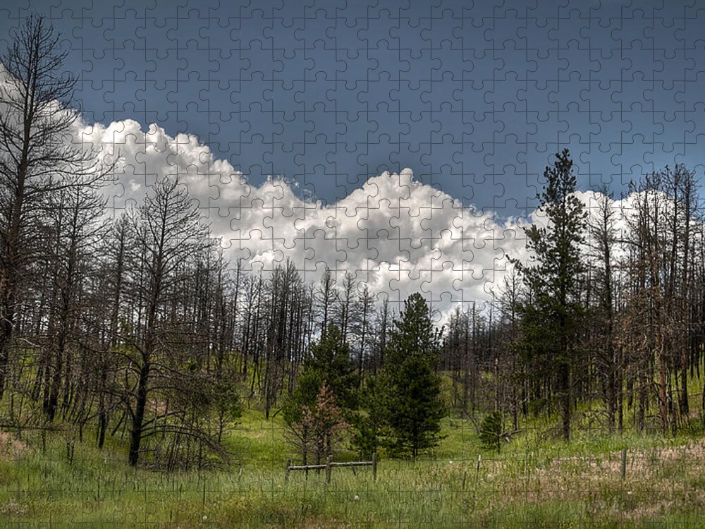 Outdoor Jigsaw Puzzle featuring the photograph Chance of Clouds by Deborah Klubertanz