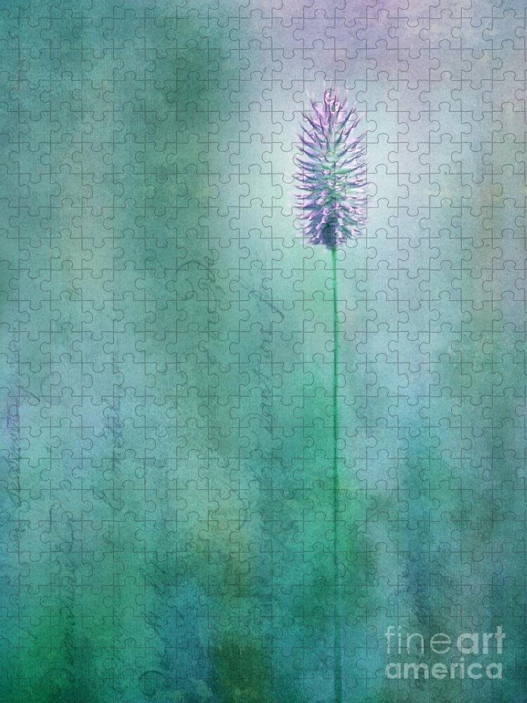 Grass Jigsaw Puzzle featuring the photograph Chandelle by Priska Wettstein