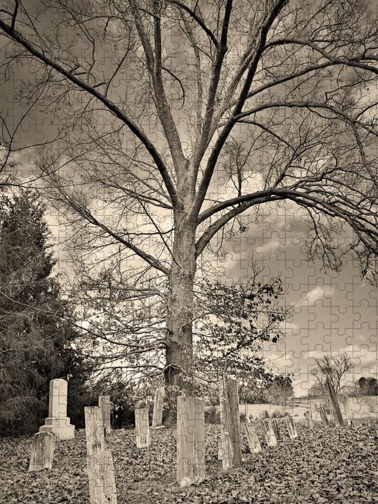 Chapman Summers Cemetery Newberry Sc Vertical Black And White Jigsaw Puzzle featuring the photograph Chapman Summers Cemetery Newberry SC Vertical Black and White by Lisa Wooten