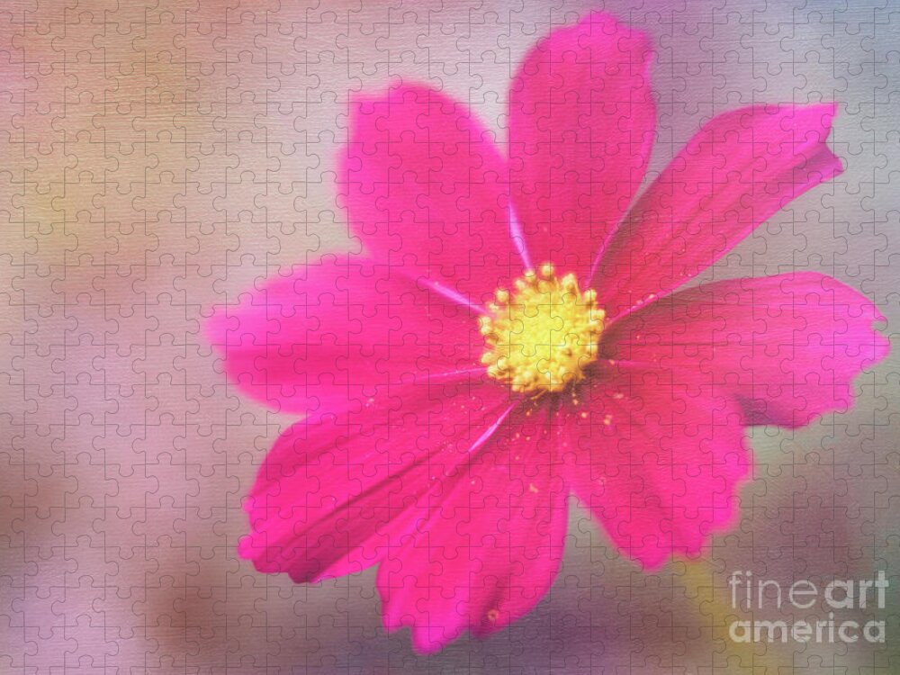 Cosmos Jigsaw Puzzle featuring the photograph Charming Cosmos by Anita Pollak
