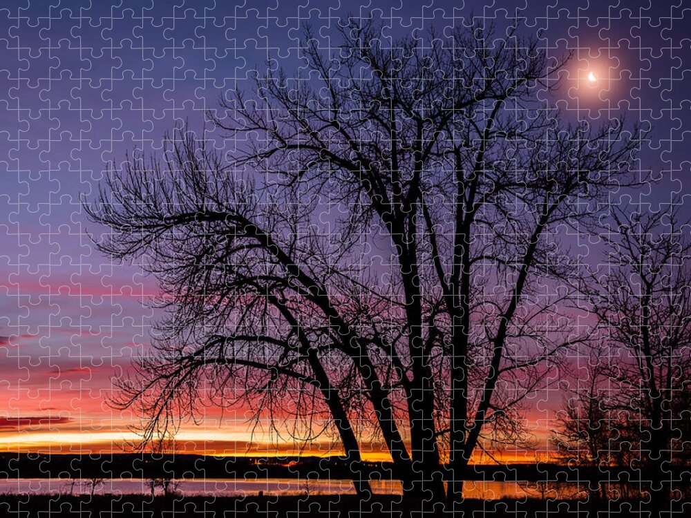 Moon Jigsaw Puzzle featuring the photograph Chatfield Moon At Sunrise by Darren White