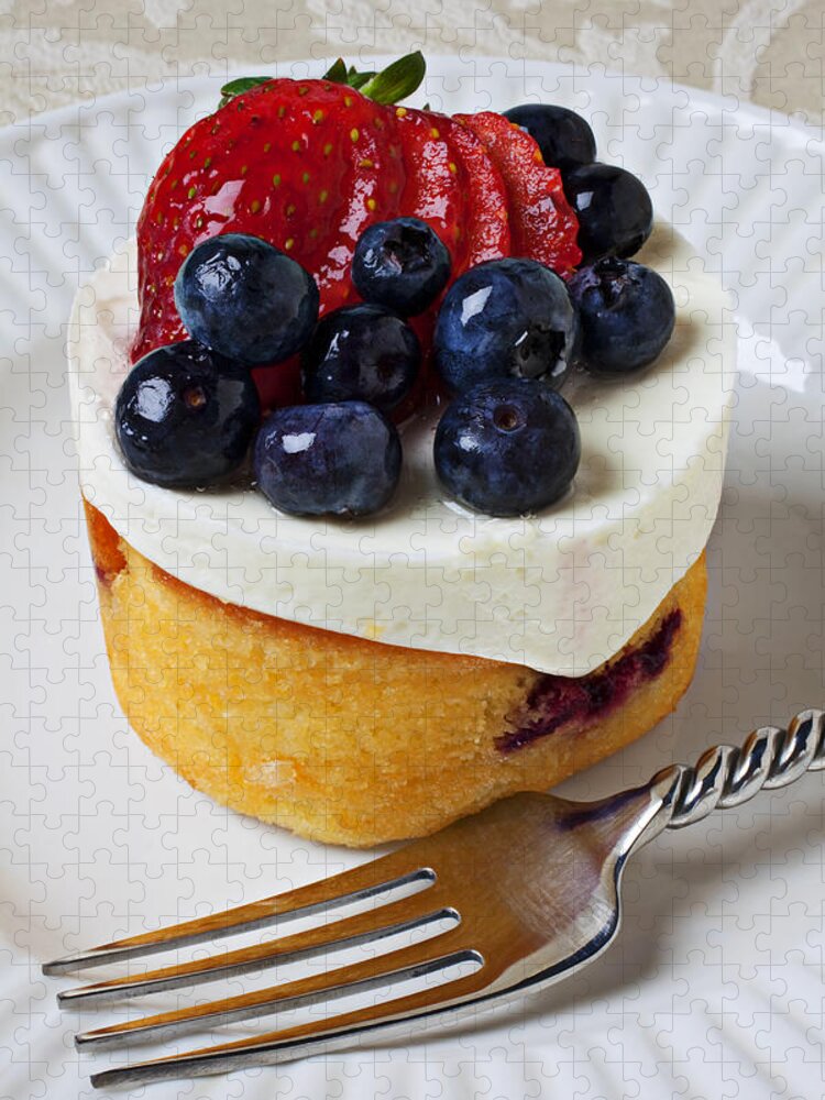 Fruit Tart Pie Pies Jigsaw Puzzle featuring the photograph Cheese cream cake with fruit by Garry Gay
