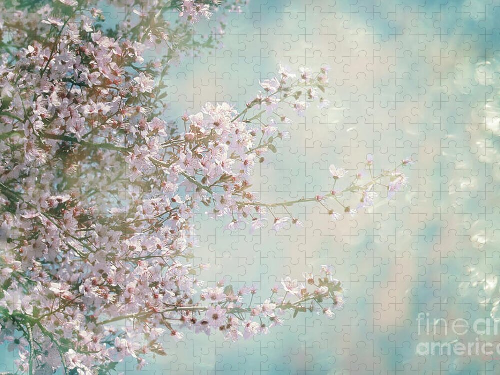 Blossom Jigsaw Puzzle featuring the photograph Cherry Blossom Dreams by Linda Lees