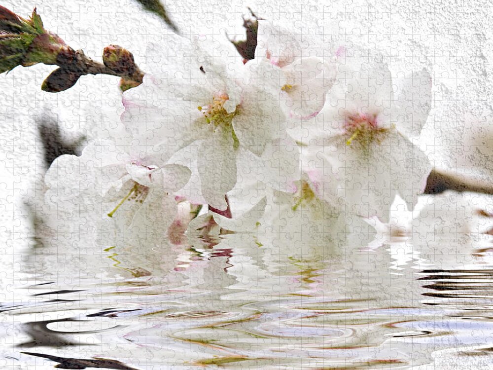 Blossom Jigsaw Puzzle featuring the photograph Cherry blossom in water by Elena Elisseeva