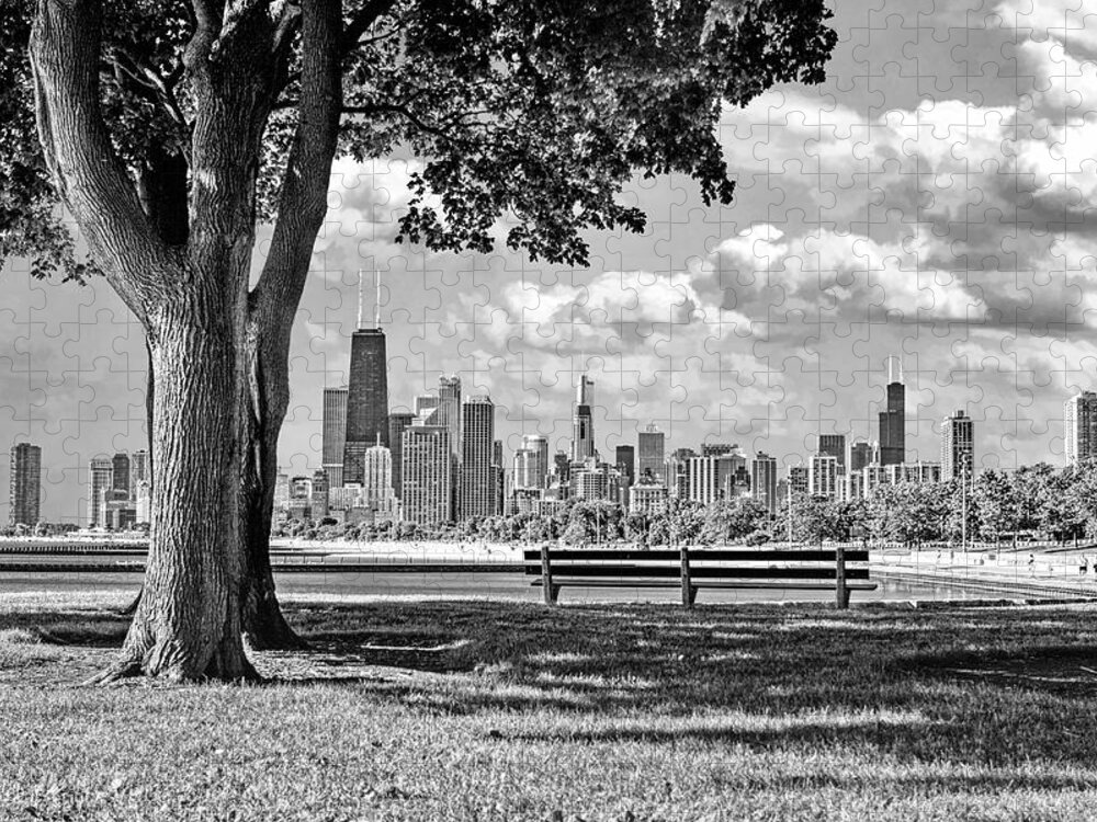 Chicago Jigsaw Puzzle featuring the photograph Chicago North Skyline Park Black and White by Christopher Arndt