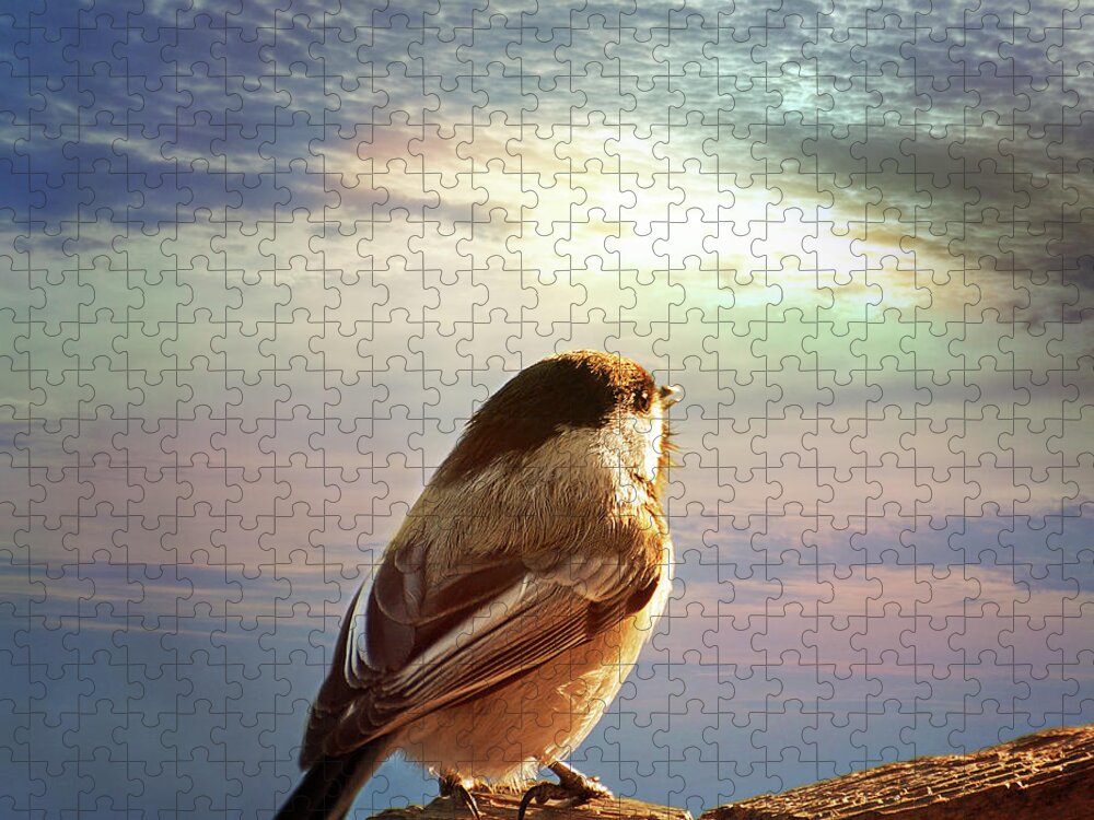 Chickadee Print Jigsaw Puzzle featuring the photograph Chickadee Sunrise by Gwen Gibson