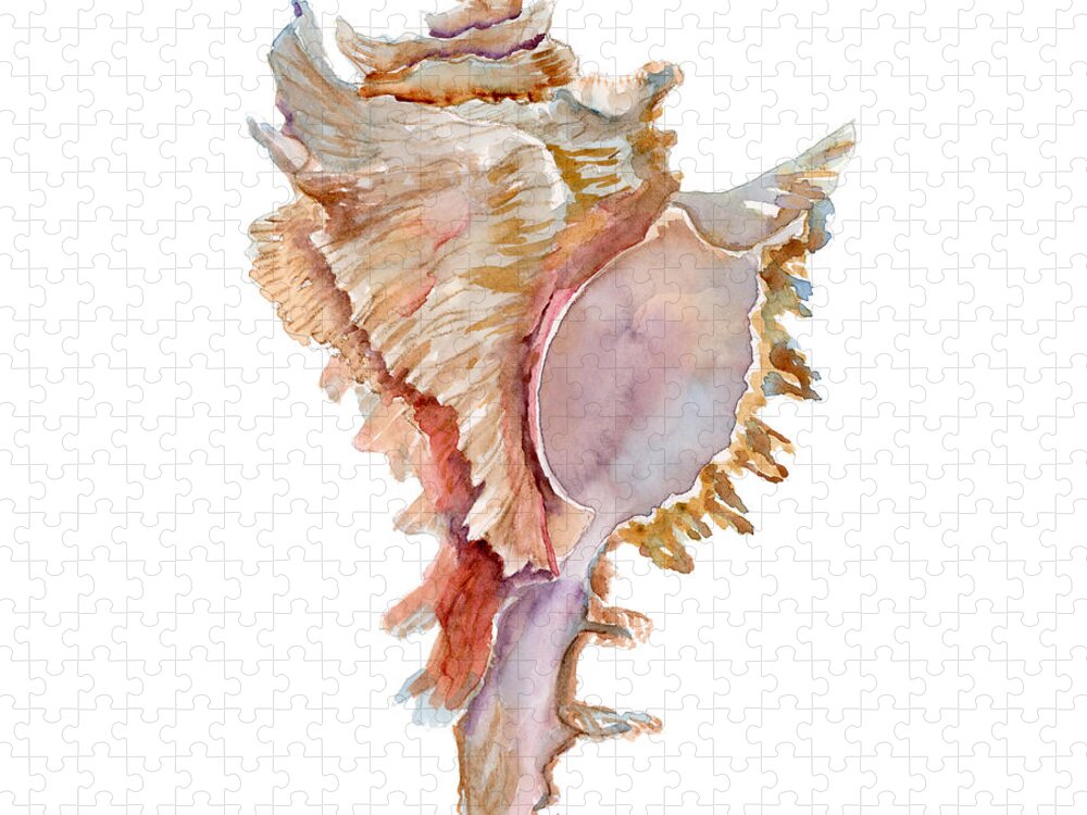 Shell Jigsaw Puzzle featuring the painting Chicoreus Ramosus Shell by Amy Kirkpatrick