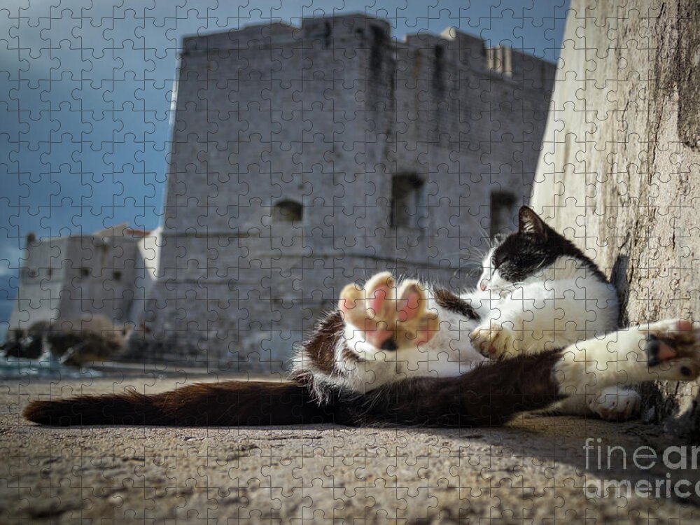 Cat Jigsaw Puzzle featuring the photograph Chill Kitty of Dubrovnik by Becqi Sherman