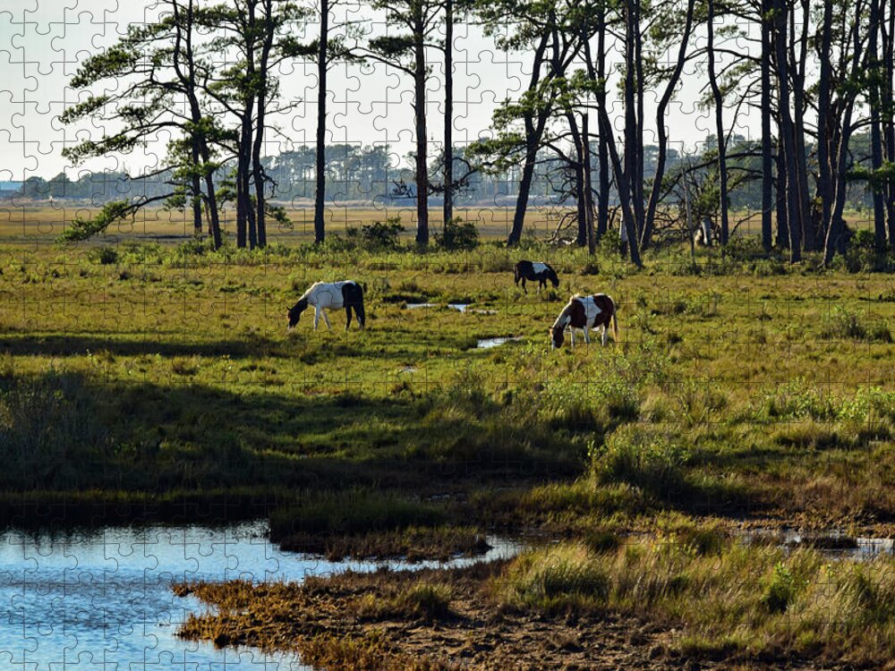 Chincoteague Jigsaw Puzzle featuring the photograph Chincoteague Ponies by Nicole Lloyd