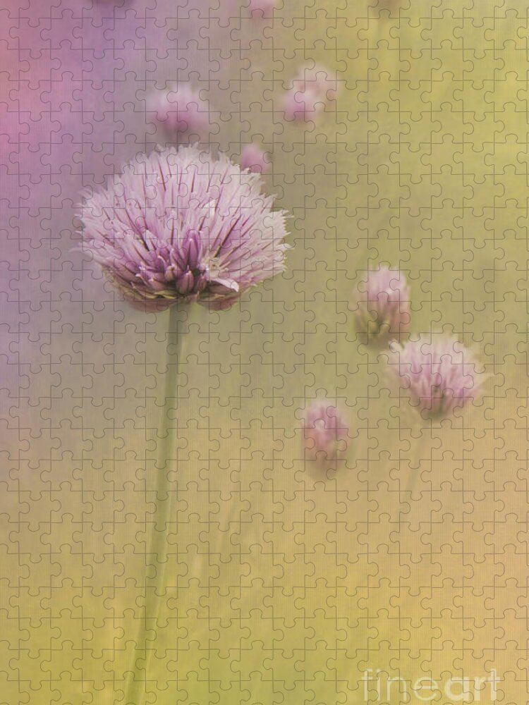 Chives Jigsaw Puzzle featuring the photograph Chives by Pam Holdsworth