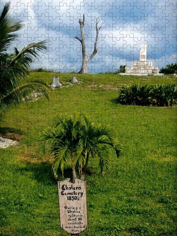 Bahamas Jigsaw Puzzle featuring the photograph Cholera Cemetary by Robert Nickologianis