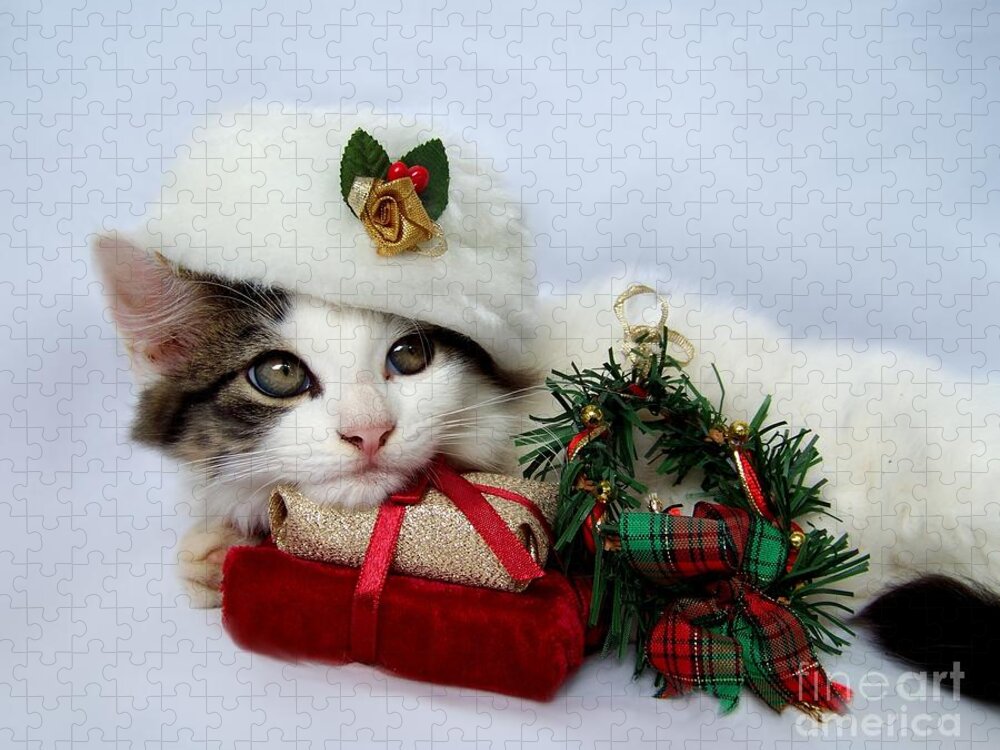 Christmas Jigsaw Puzzle featuring the photograph Christmas Kitten by Jai Johnson