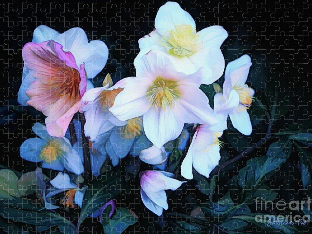 Photo Jigsaw Puzzle featuring the photograph Christmas Rose by Jutta Maria Pusl