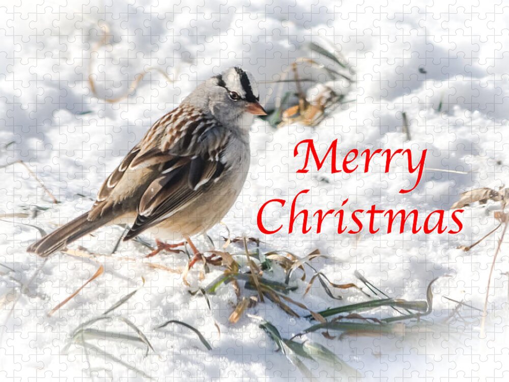 White-crowned Sparrow Jigsaw Puzzle featuring the photograph Christmas Sparrow by Holden The Moment
