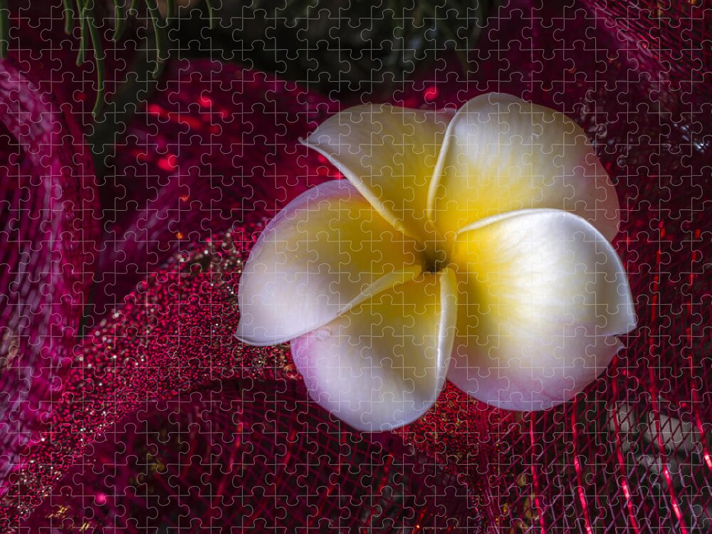 Christmas Jigsaw Puzzle featuring the photograph Christmas Tree Plumeria by Jade Moon