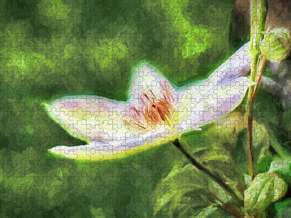 Clematis Jigsaw Puzzle featuring the photograph Clematis Study by Ches Black