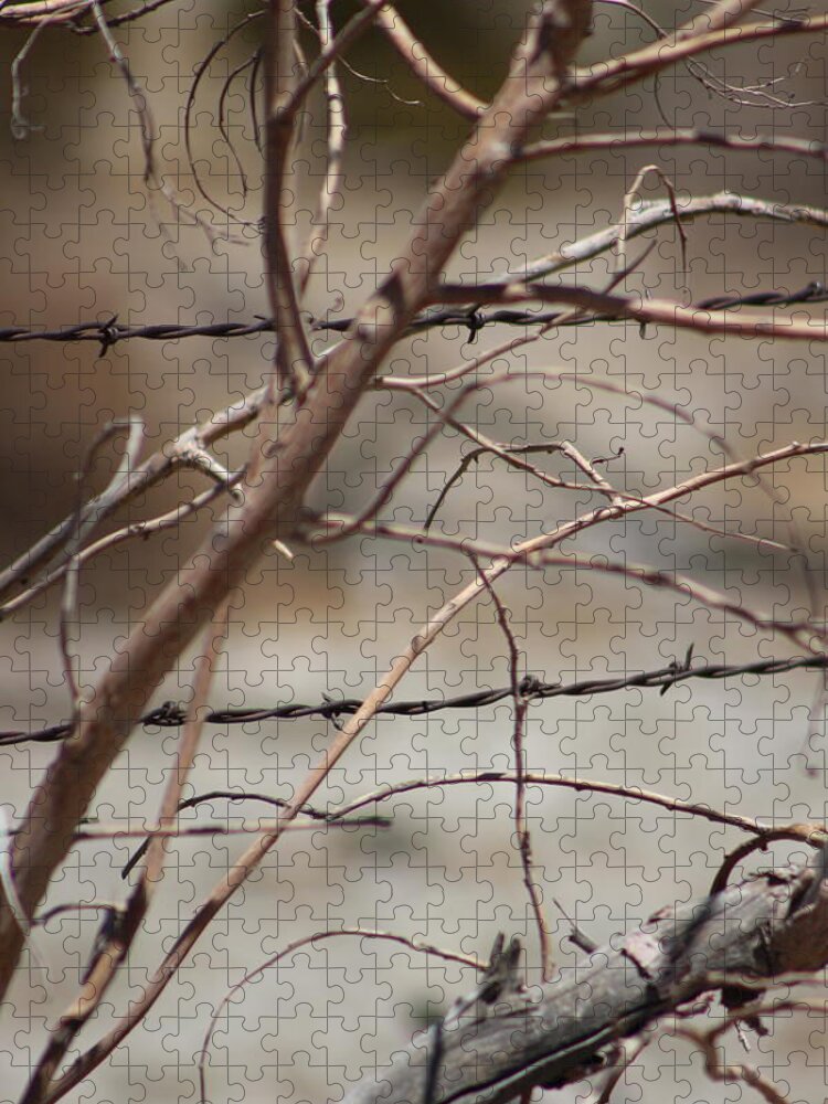Golden Jigsaw Puzzle featuring the photograph Closeup of Dried Branches against Barbed Wire Fence by Colleen Cornelius