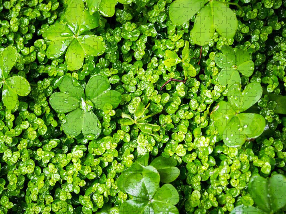 Lush Vegetation Jigsaw Puzzle featuring the photograph Lush Green Soothing Organic Sense by John Williams